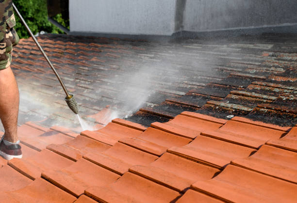 Best Affordable Power Washing  in Carrollton, AL
