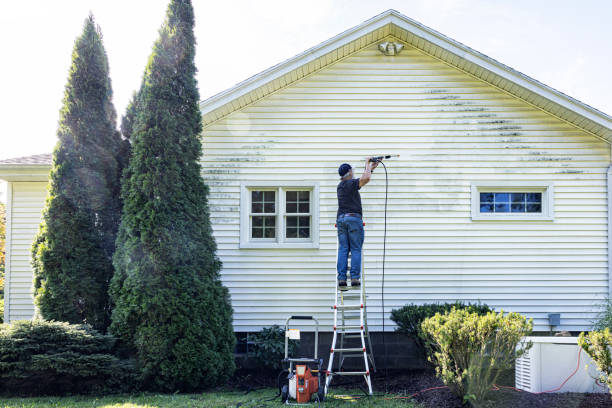 Best Affordable Pressure Washing  in Carrollton, AL