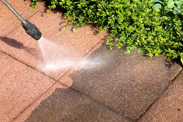 Best Roof Power Washing Services  in Carrollton, AL